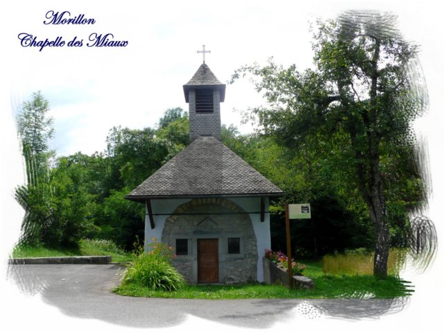 morillonlesmiaux1.jpg