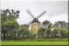 bazougers49lemoulindelapelonnire_small.jpg