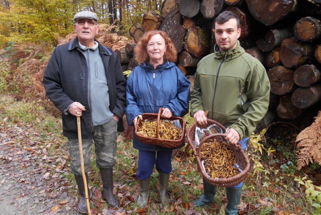 une autre rencontre sympathique... mais eux c'est aux champignons qu