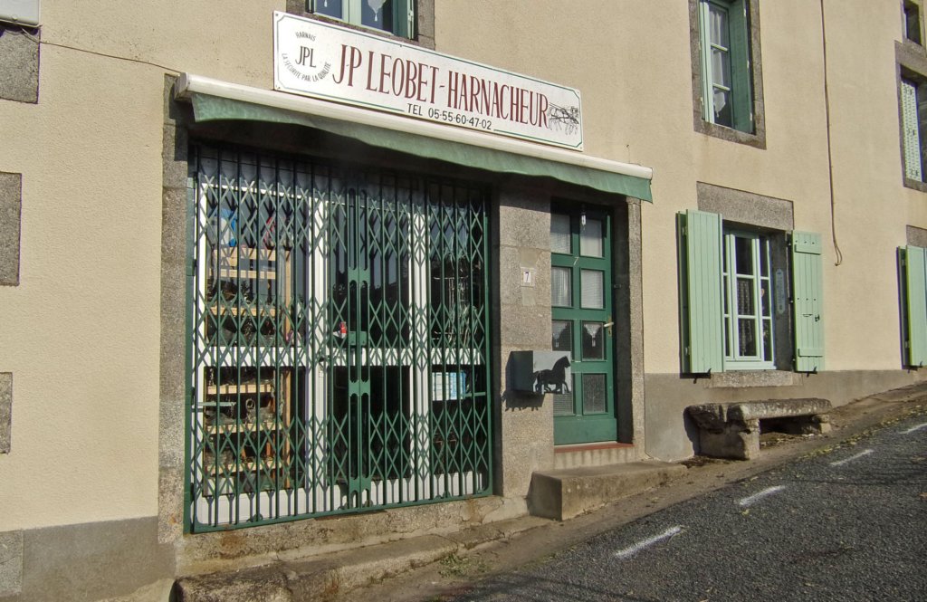 blondlaselleriebeaucoupdechevauxdanslargion.jpg