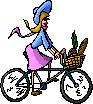 velo 13